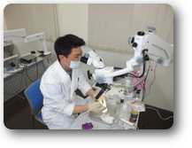 画像の説明 画像の説明